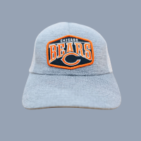 "Chicago Bears Gray Cap and Hat Collection: Show Your Team Pride in Style"