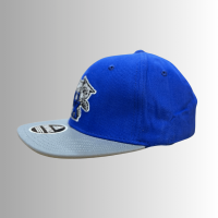 "Kentucky Wildcats NCAA Team Blue and Gray Caps and Hats Collection"